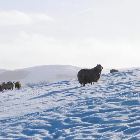 Дом отдыха Foxstones *